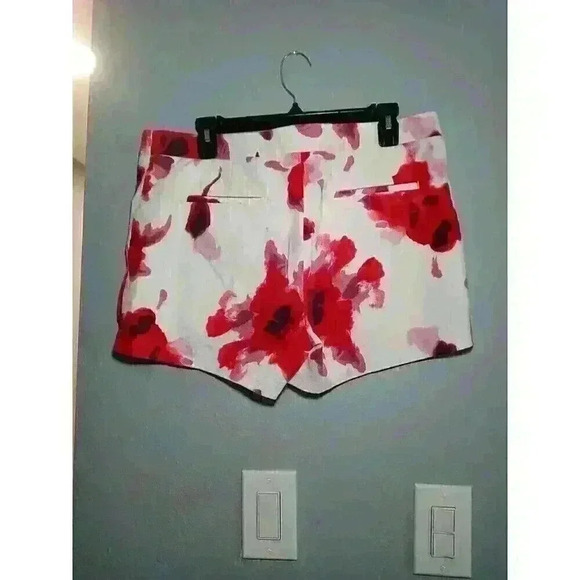 Dalia Woman Collection Size 12 Walking Shorts, Cotton Spandex, Pocket - Picture 2 of 10